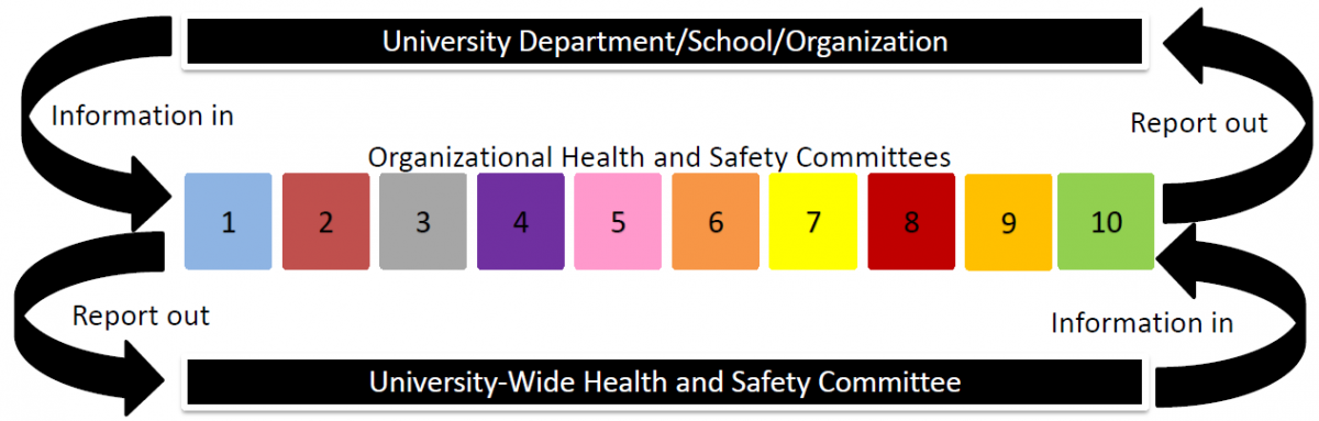 Information and reporting structure of the Health and Safety Committees